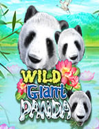 Rise of Apollo สูตร